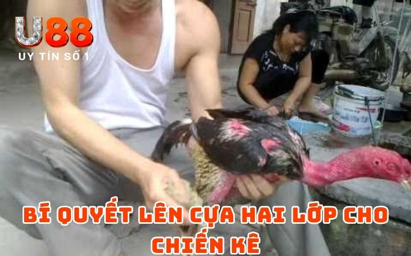 Cách Lên Cựa Gà Đơn Giản Nhưng Hiệu Quả Từ Cao Thủ U88 - XICUDE.PRO Cách Lên Cựa Gà Đơn Giản Nhưng Hiệu Quả Từ Cao Thủ U88 - XICUDE.PRO