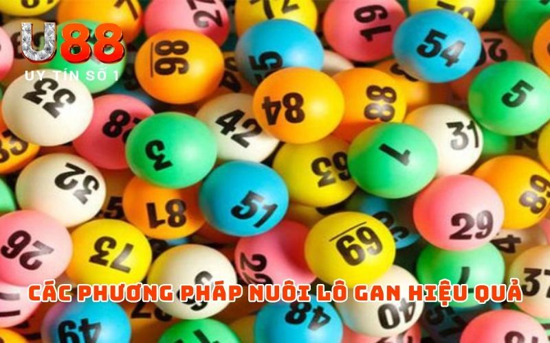 Phương Pháp Nuôi Lô Gan | Top 3+ Hình Thức Soi Cầu Hiệu Quả - XICUDE.PRO Phương Pháp Nuôi Lô Gan | Top 3+ Hình Thức Soi Cầu Hiệu Quả - XICUDE.PRO
