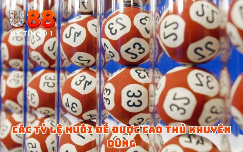 Song Thủ Lô Nuôi Khung 2 Ngày - Mẹo Chơi Dễ Đánh, Dễ Trúng - XICUDE.PRO Song Thủ Lô Nuôi Khung 2 Ngày - Mẹo Chơi Dễ Đánh, Dễ Trúng - XICUDE.PRO