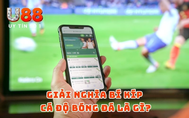 Bí Kíp Cá Độ Bóng Đá Chắc Ăn Năm 2026 - Trúng Lớn 100% - XICUDE.PRO Bí Kíp Cá Độ Bóng Đá Chắc Ăn Năm 2026 - Trúng Lớn 100% - XICUDE.PRO