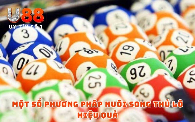 Song Thủ Lô Nuôi Khung 2 Ngày - Mẹo Chơi Dễ Đánh, Dễ Trúng - XICUDE.PRO Song Thủ Lô Nuôi Khung 2 Ngày - Mẹo Chơi Dễ Đánh, Dễ Trúng - XICUDE.PRO