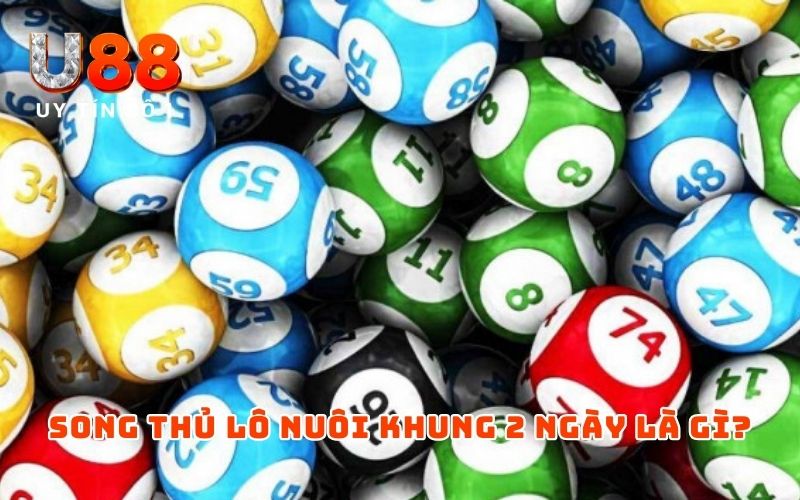 Song Thủ Lô Nuôi Khung 2 Ngày - Mẹo Chơi Dễ Đánh, Dễ Trúng - XICUDE.PRO Song Thủ Lô Nuôi Khung 2 Ngày - Mẹo Chơi Dễ Đánh, Dễ Trúng - XICUDE.PRO