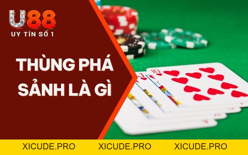 Thùng Phá Sảnh Là Gì? Toàn Diện Về Tay Bài Mạnh Nhất Poker - XICUDE.PRO Thùng Phá Sảnh Là Gì? Toàn Diện Về Tay Bài Mạnh Nhất Poker - XICUDE.PRO