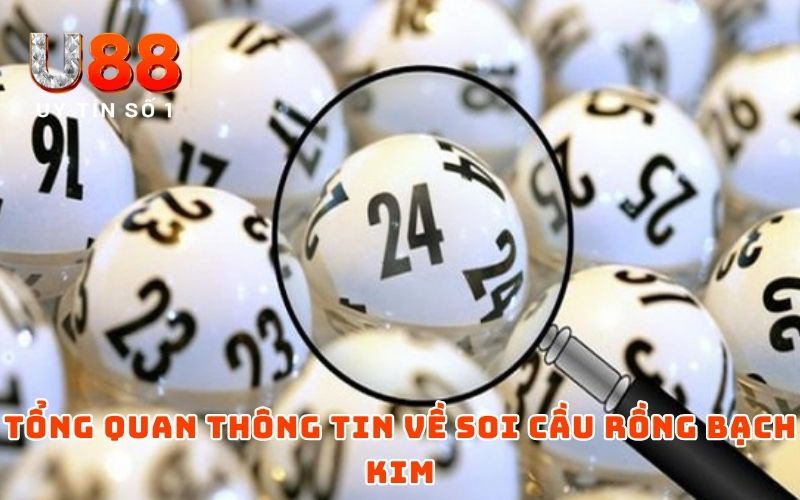 Soi Cầu Rồng Bạch Kim - Xu Hướng Cá Cược Mới Trong 2026 - XICUDE.PRO Soi Cầu Rồng Bạch Kim - Xu Hướng Cá Cược Mới Trong 2026 - XICUDE.PRO