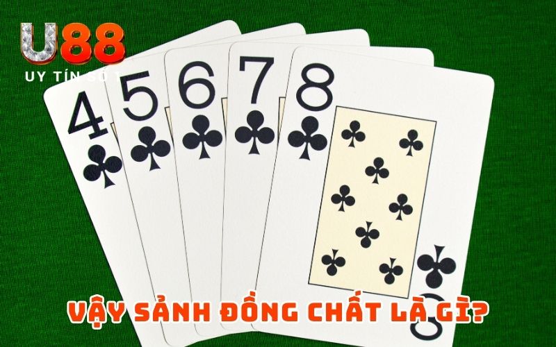 Thùng Phá Sảnh Là Gì? Toàn Diện Về Tay Bài Mạnh Nhất Poker - XICUDE.PRO Thùng Phá Sảnh Là Gì? Toàn Diện Về Tay Bài Mạnh Nhất Poker - XICUDE.PRO