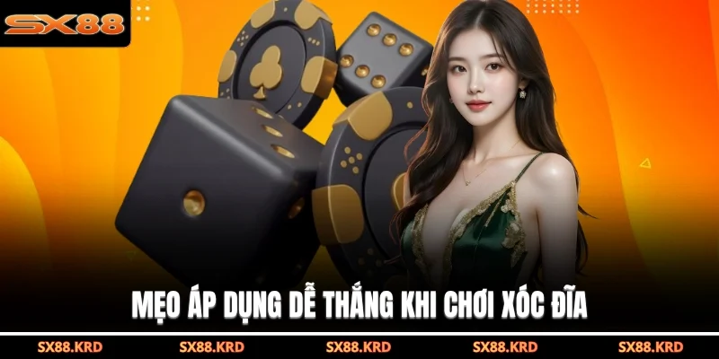 Cách Chơi Xóc Đĩa Đơn Giản, Dễ Hiểu Cho Người Mới Bắt Đầu - XICUDE.PRO