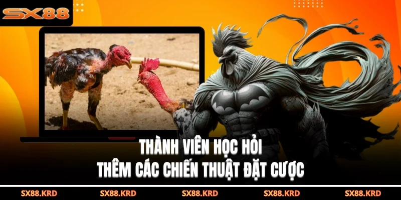 Đá Gà Campuchia Hấp Dẫn Với Nhiều Hình Thức Khác Nhau - XICUDE.PRO