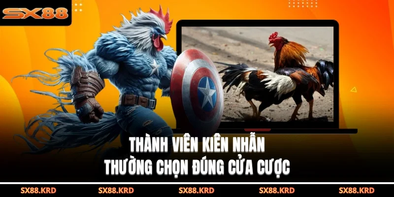Đá Gà Campuchia Hấp Dẫn Với Nhiều Hình Thức Khác Nhau - XICUDE.PRO