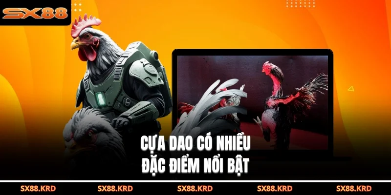 Đá Gà Cựa Dao - Mãn Nhãn Với Các Trận Đấu Kịch Tính Nhất - XICUDE.PRO
