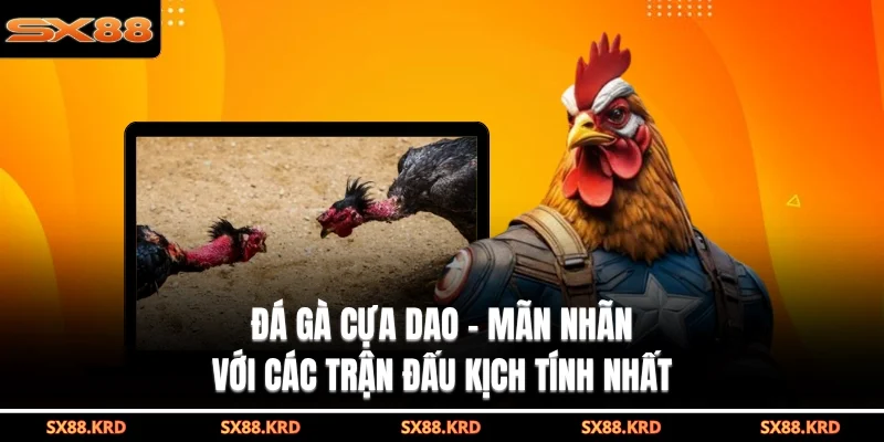 Đá Gà SX88 - Sảnh Cược Trực Tuyến Uy Tín Và Hấp Dẫn - XICUDE.PRO