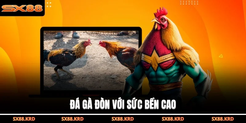 Đá Gà Trực Tiếp SX88 Đem Đến Trận Đấu Gay Cấn Mãn Nhãn - XICUDE.PRO