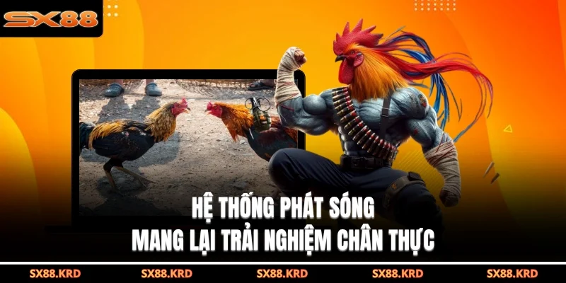 Đá Gà Trực Tiếp SX88 Đem Đến Trận Đấu Gay Cấn Mãn Nhãn - XICUDE.PRO